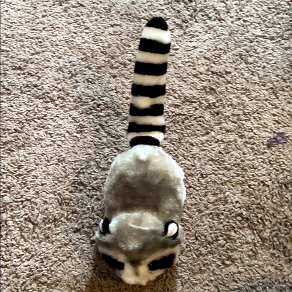 Electric Raccoon - Picture 2 of 3